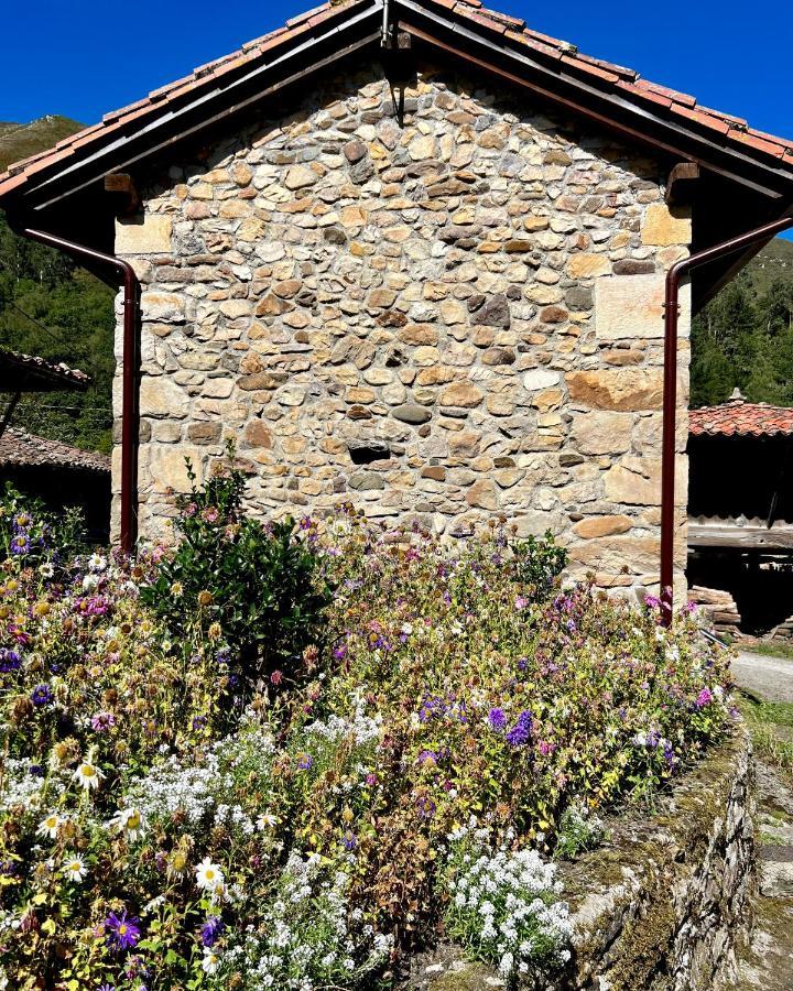 La Casita De Olivia Espinaredo Villa La Villa Bagian luar foto